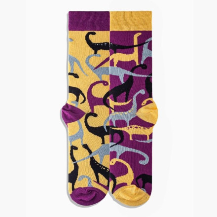 Шкарпетки Griffon Dino box