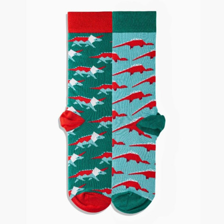 Шкарпетки Griffon Dino box