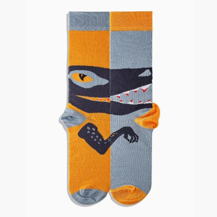 Шкарпетки Griffon Dino box