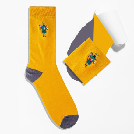 Шкарпетки Griffon Dream profession box