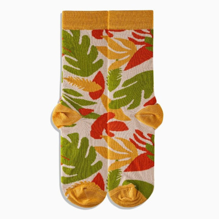 Шкарпетки Griffon Autumn box