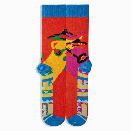 Шкарпетки Griffon Nation box