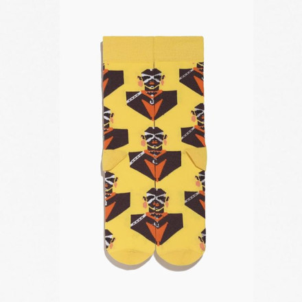 Шкарпетки Griffon Heroes box