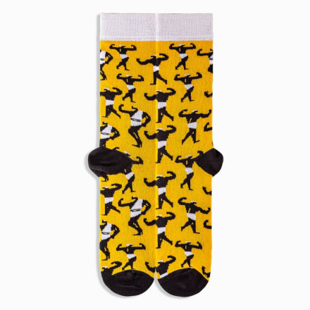 Шкарпетки Griffon Civilizations box