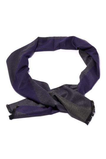 Шарф чоловічий Welfare V-05-276 Blue