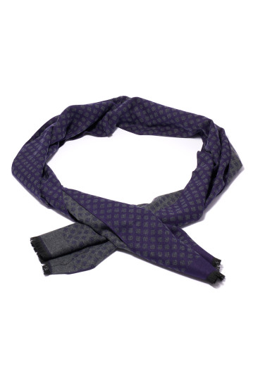 Шарф чоловічий Welfare V-05-281 Blue