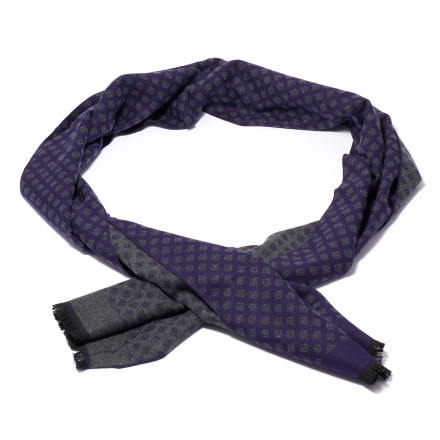 Шарф чоловічий Welfare V-05-281 Blue
