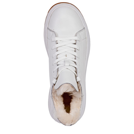 Черевики жіночі Glam 922503