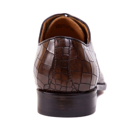 Туфлі чоловічі Speroni 290061211/D.BRN/29