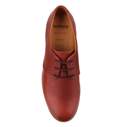 Туфлі чоловічі Welfare 420051211/D.CARROTY/29