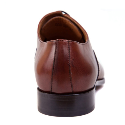 Туфлі чоловічі Speroni 290011211/BRN/29