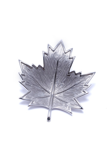 Брошка жіноча Welfare AB01371 silver