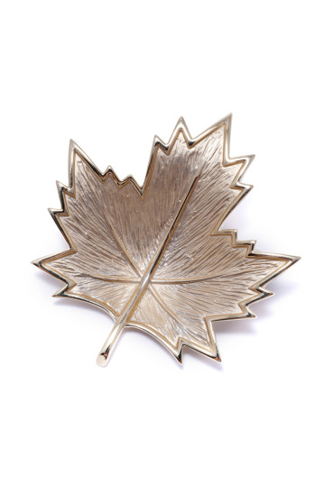 Брошка жіноча Welfare XZ01898 gold