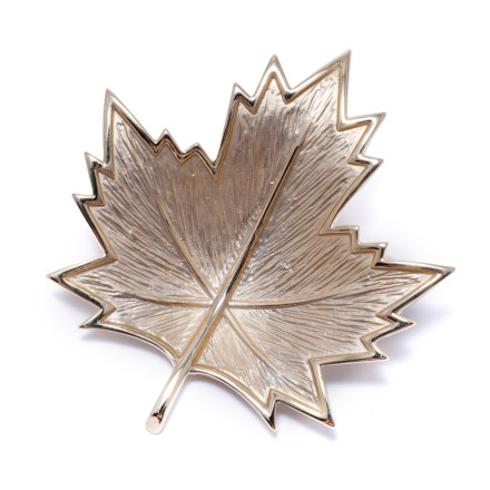 Брошка жіноча Welfare XZ01898 gold